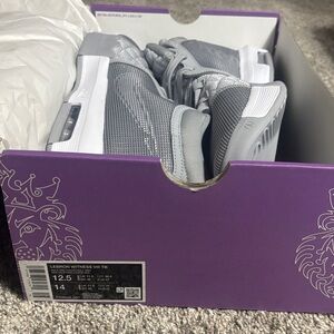 Nike LeBron Witness VIII TB in Silver and White